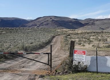 Environmentalists warn of intent to sue over snail species living near Nevada lithium mine