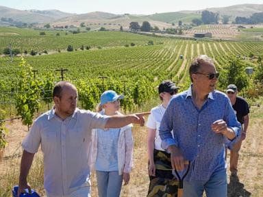 Ukrainian winemakers visit California’s Napa Valley to learn how to heal war-ravaged vineyards