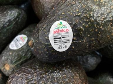 US will gradually resume avocado inspections in conflictive Mexican state, ambassador says