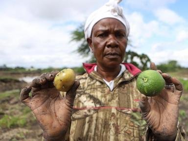 Kenya’s dramatic flooding sweeps away a central part of the economy: Its farms