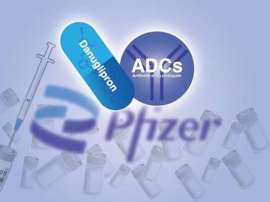 Pfizer CEO on moving beyond COVID vaccines to become a leader in cancer and obesity treatments